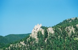 grizzly Tooth